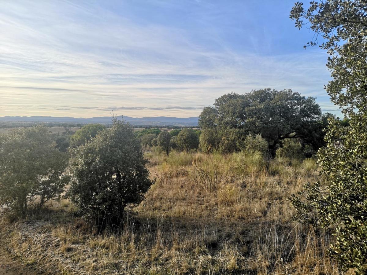 Madrid Green Villaviciosa de Odón Kültér fotó