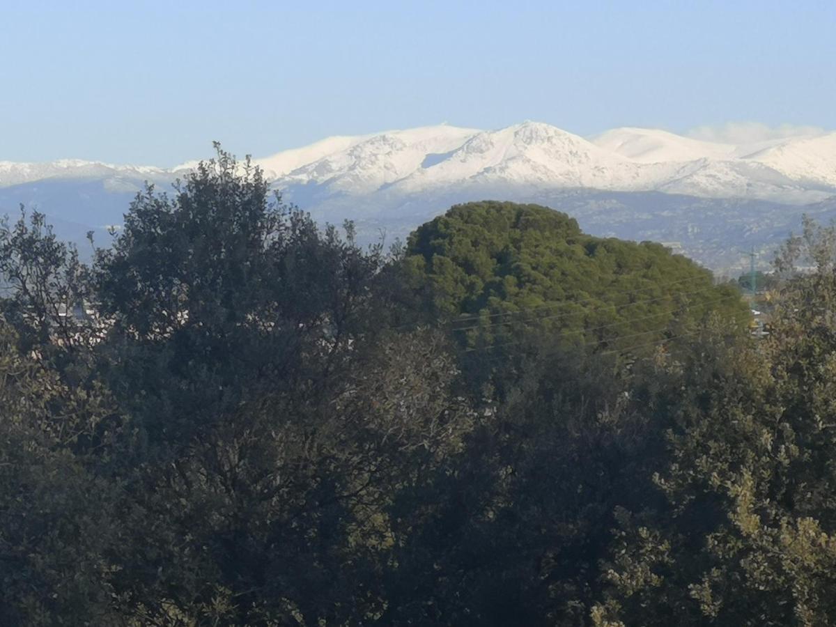 Madrid Green Villaviciosa de Odón Kültér fotó